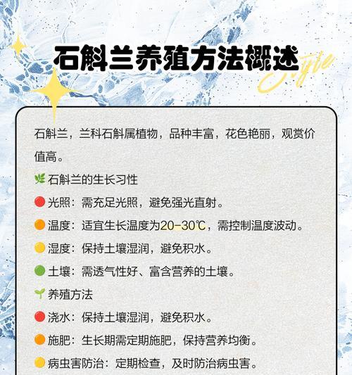 对兰的养护方法和注意事项有哪些？