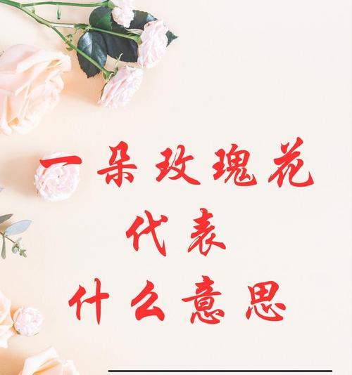 给不同的人送玫瑰花代表什么？它在不同关系中意味着什么？