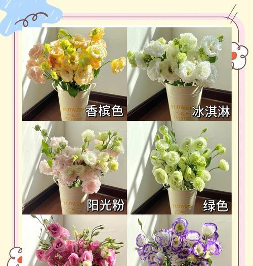 温柔冰淇淋的花语是什么？这种花语有何独特之处？
