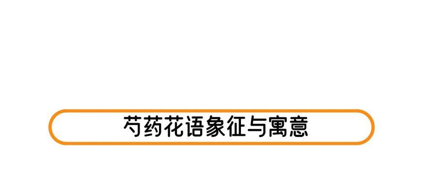 芍药的花语是什么？为何说可惜你不懂？
