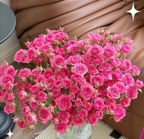 粉色苏菲玫瑰传递了怎样的情感？