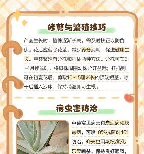 芦荟养殖需要注意哪些事项？怎样才能养出健康芦荟？