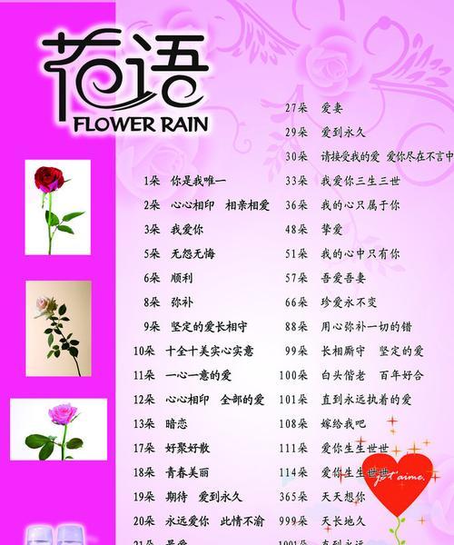 表达纯洁爱意的花语是什么？