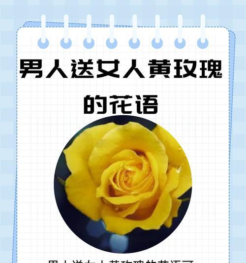花语玫瑰的含义是什么？送这种花有何特别意义？