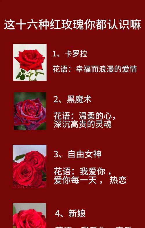 花语玫瑰的含义是什么？送这种花有何特别意义？