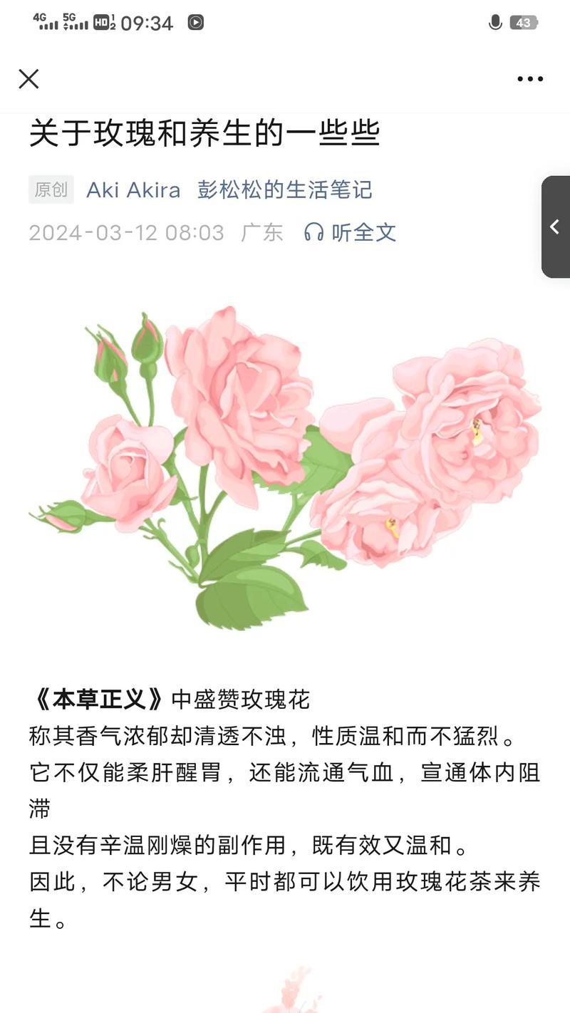 花语玫瑰的含义是什么？送这种花有何特别意义？