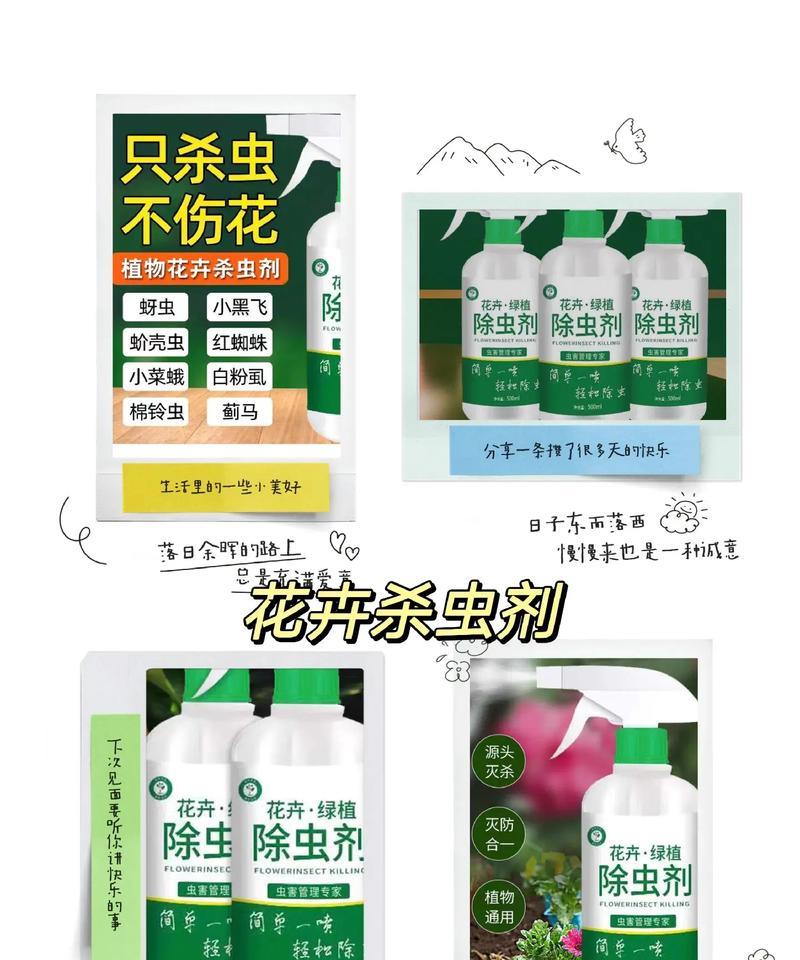多肉植物长蚜虫怎么办？有哪些有效的处理方法？
