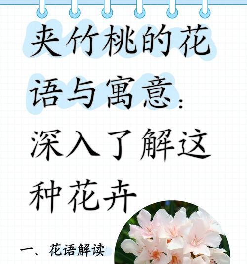 花朵成长的花语有哪些寓意？