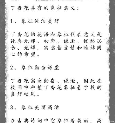 花朵成长的花语有哪些寓意？