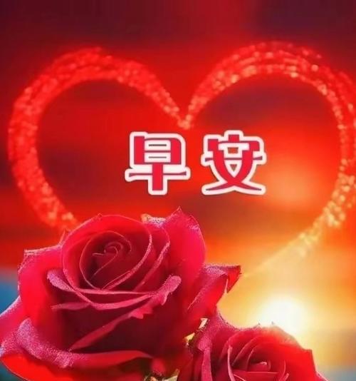 花开心的花语是什么？花开象征着什么？