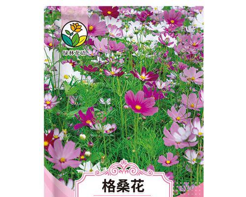格桑花的花语有哪些特别的含义？