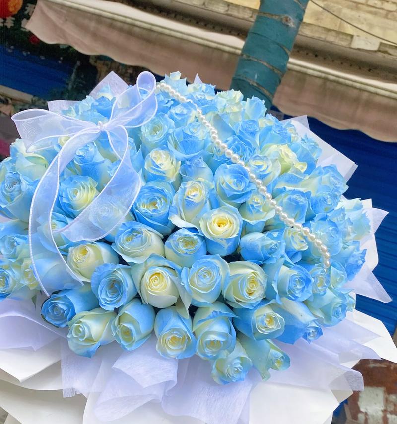白蓝玫瑰组合的花语有何深意？