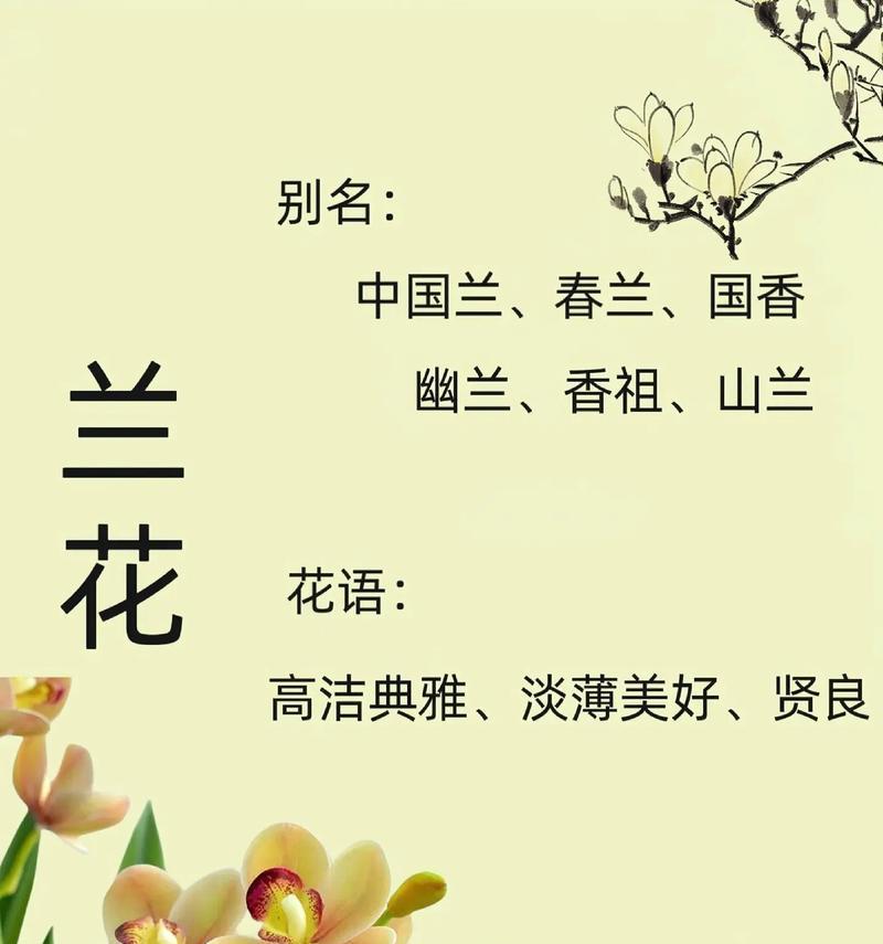 春兰春丽的花语有何特别之处？