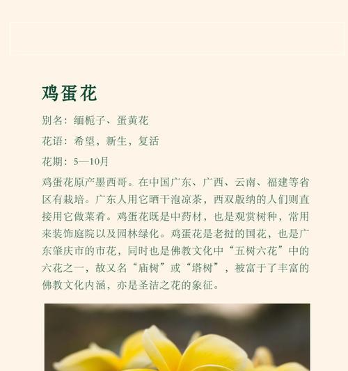 花语与花期之间存在关联吗？它们是如何相互影响的？