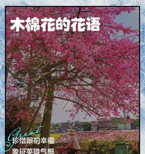 花语与花期之间存在关联吗？它们是如何相互影响的？