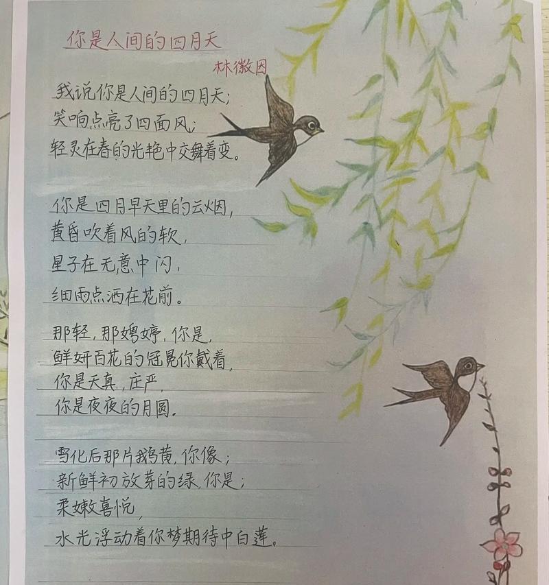 玫瑰花的美丽如何用诗句形容？有哪些名句赞美玫瑰的盛开？