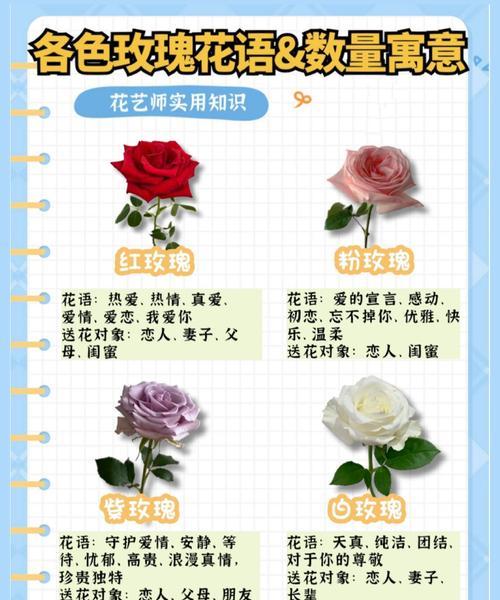 蓝星玫瑰的寓意和花语有何不同？