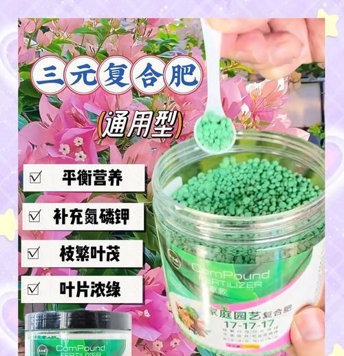 澳洲三角梅怎么养护和浇水效果好？如何保持三角梅的健康生长？