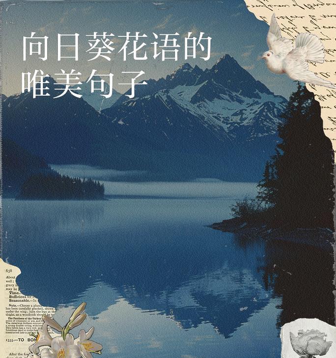 向日葵的花语代表了什么友谊？它的寓意是什么？
