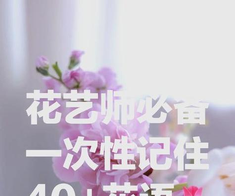 疫情前后的花语有何不同？疫情前后的花语变化是什么？
