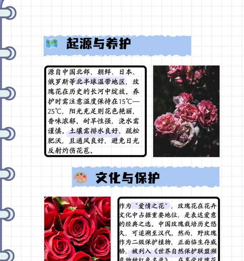 疫情前后的花语有何不同？疫情前后的花语变化是什么？