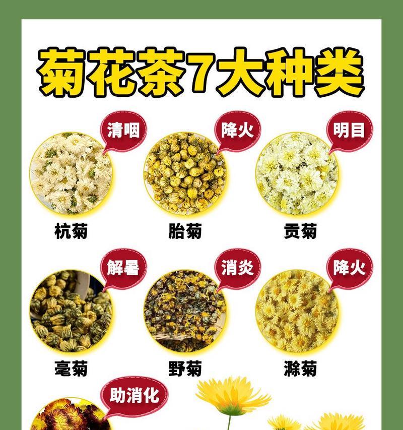 菊花有哪些品种？各自的特性是什么？
