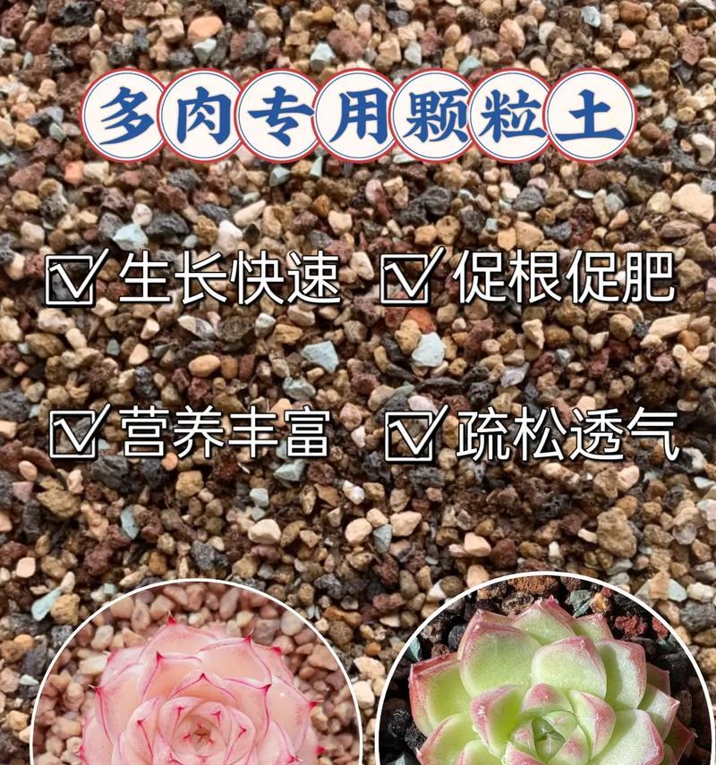 多肉植物适合哪种土壤？如何配制多肉专用土？