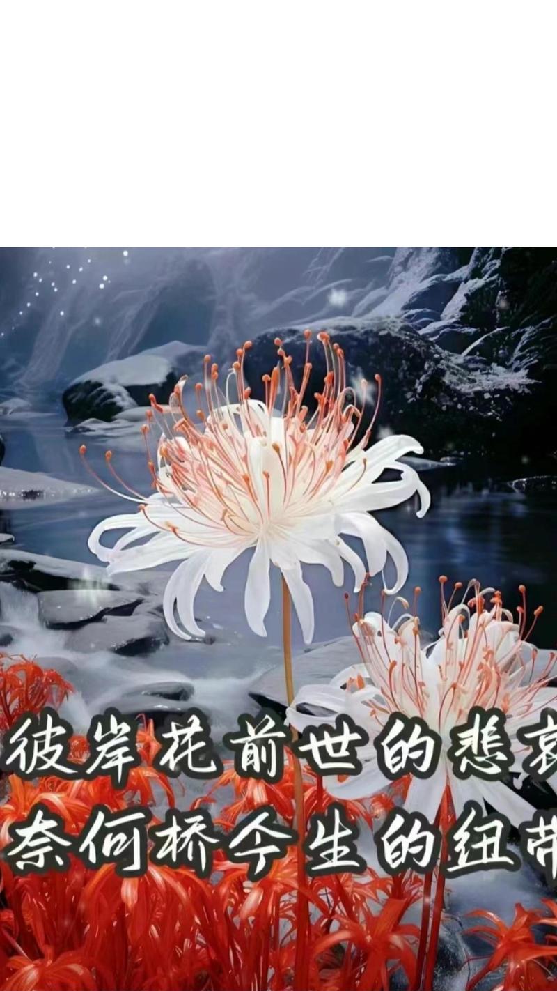 彼岸花种植需要注意哪些要点？