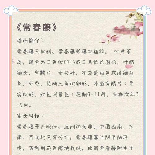常春藤的养护技巧有哪些？如何保持其健康生长？