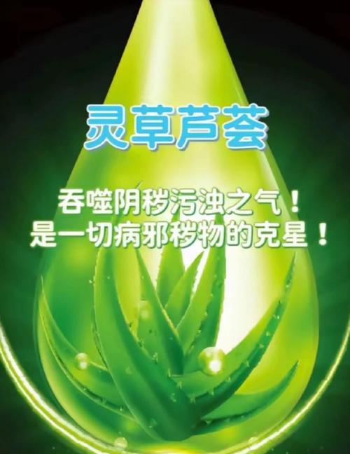卢荟种植的正确方法是什么？如何保证其健康生长？