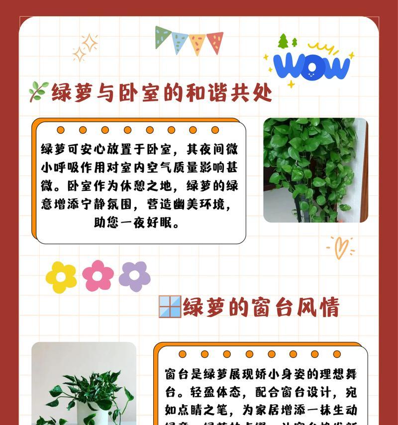 绿萝的养殖方法是什么？怎样才能让绿萝长得更茂盛？