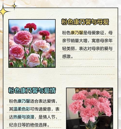 康乃馨送给老师代表什么？花语有哪些含义？