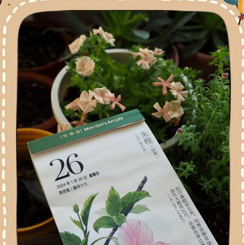扶桑花虫害如何防治？有哪些有效方法？