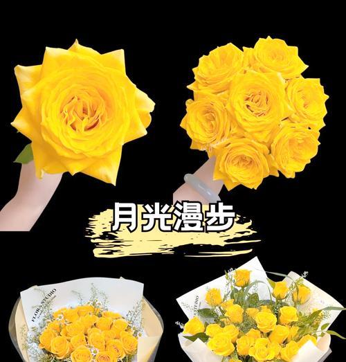 黄玫瑰的花语是什么？它传递了哪种情感？