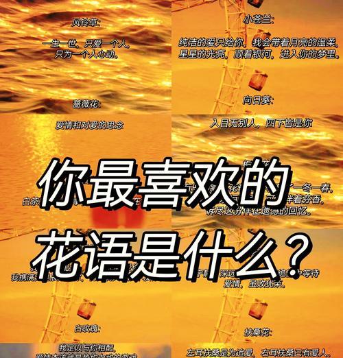 比较少见的花语是什么？这些花语有哪些独特之处？