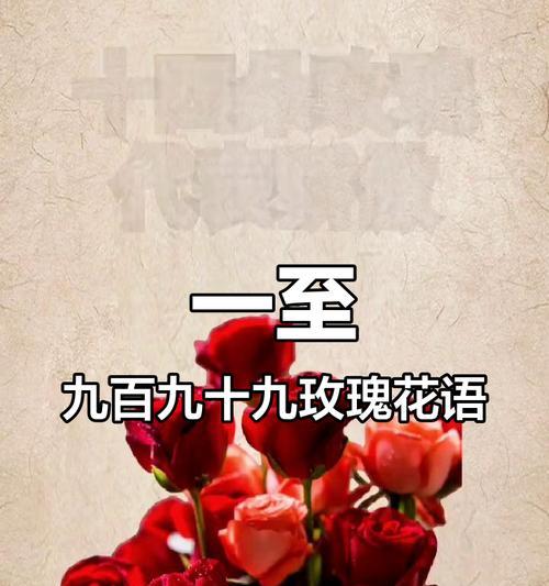 99朵玫瑰花语代表什么？多伦99朵玫瑰有何特别含义？