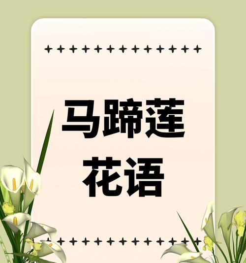 花语通常在哪些场合使用？它们的意义何在？