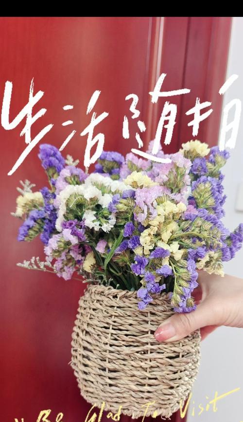 手捧花的花语选择有什么讲究？
