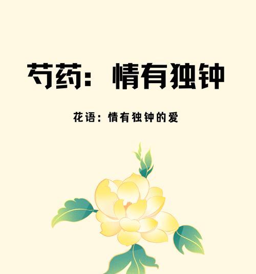 白色芍药花代表什么？花语含义有哪些？