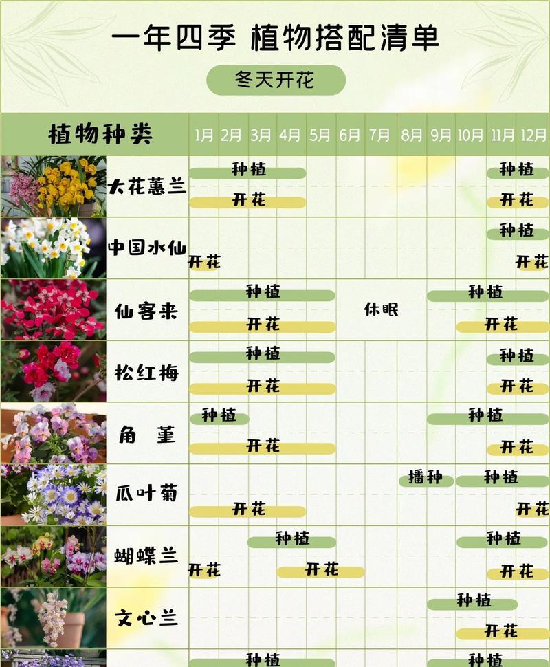 花语花香与生肖有何关联？
