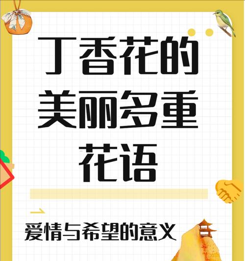 代表是男生的花语是什么？哪种花象征着男性的特质和情感？