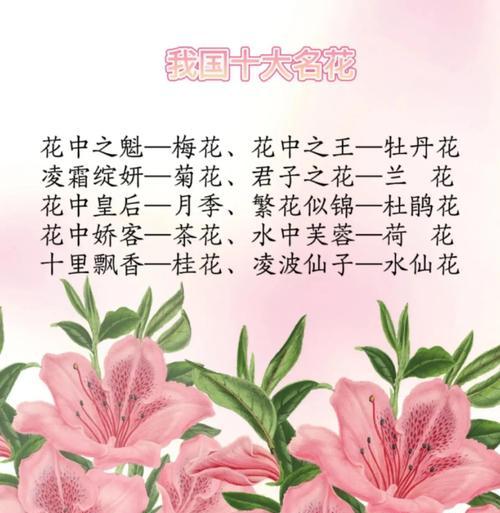 代表是男生的花语是什么？哪种花象征着男性的特质和情感？
