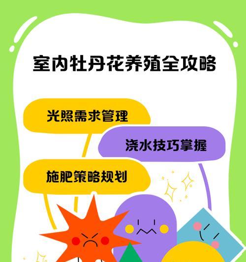 室内花卉选择有哪些技巧？