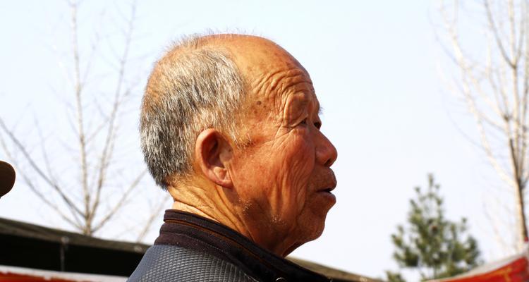 古刹金刚菊象征着怎样的精神？