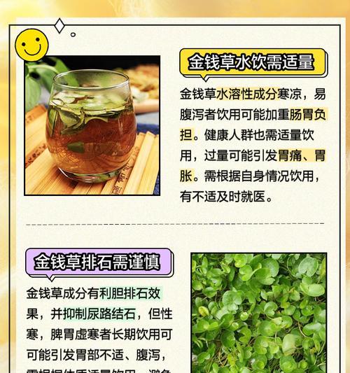 金钱草的繁殖方法是什么？如何提高成功率？