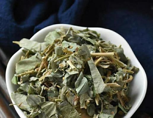 金钱草的繁殖方法是什么？如何提高成功率？