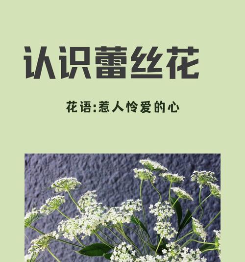四月的花语中有哪些花的名字？