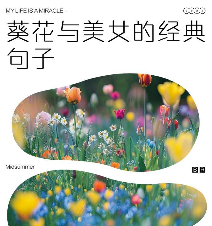 寄托情感的花语有哪些经典句子？