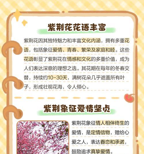 寄托情感的花语有哪些经典句子？