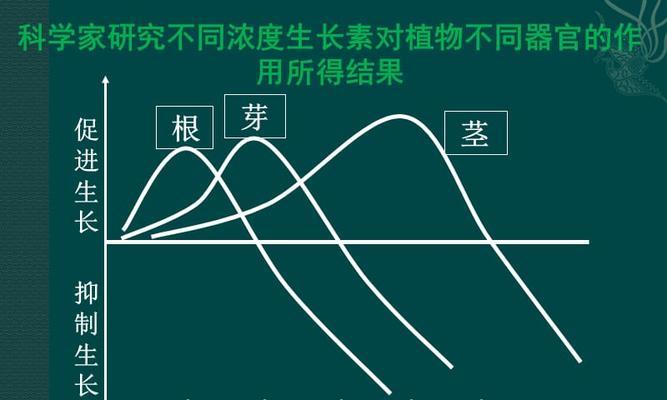 灯笼树发光的原因是什么？其生长特性有哪些？